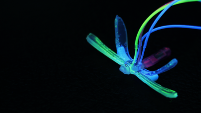 DraBot water-skimming robot made from hydrogels to sense environmental parameters by Duke University engineers