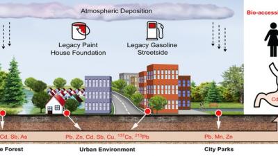 graphic representing cycle of lead contamination in urban soil