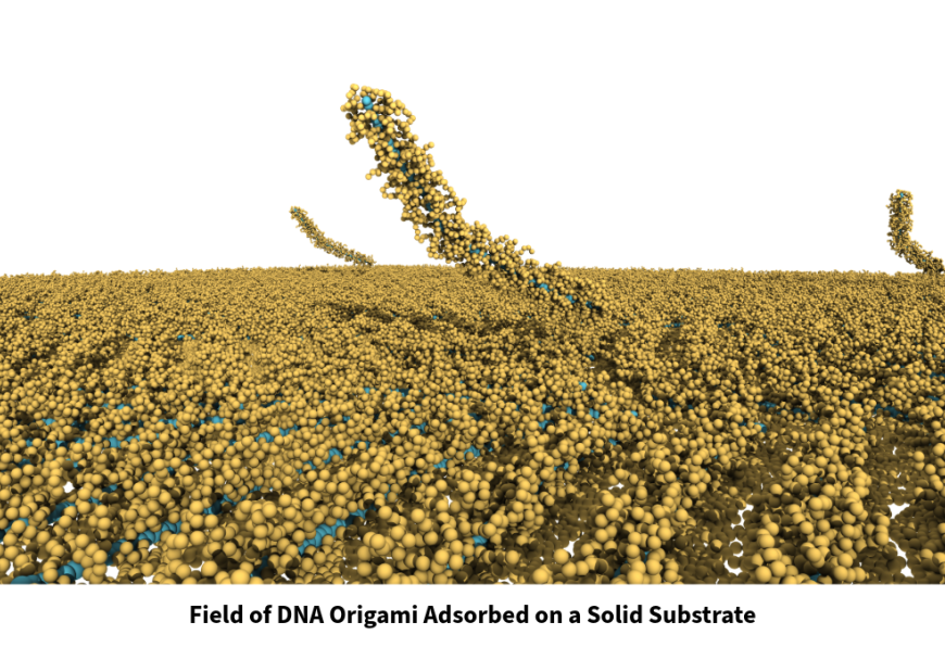 Field of DNA Origami Adsorbed on a Solid Substrate