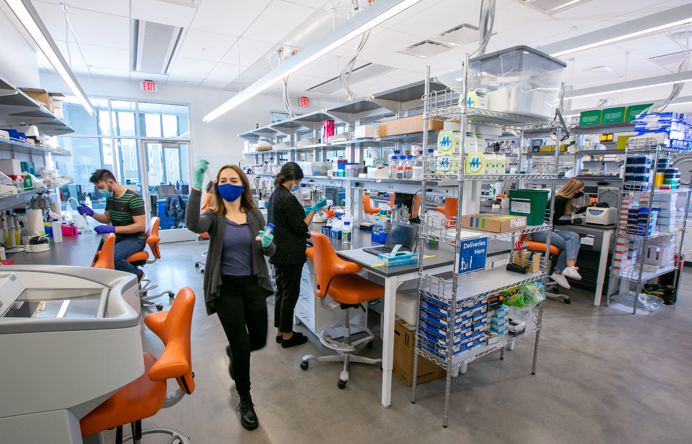 students working in a laboratory