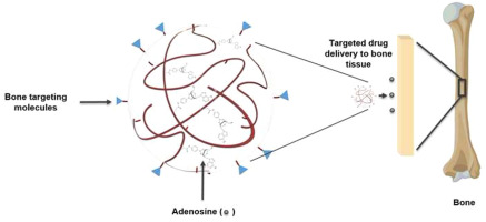 graphic of bone with targeting molecules